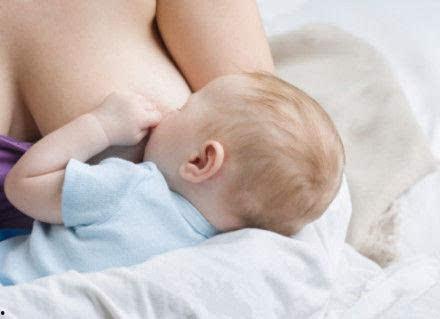 哺乳期可以吃八棱瓜吗,八棱瓜的适宜食用指南  第2张